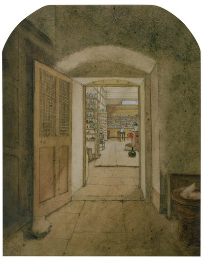 The Big Laboratory Viewed from the Dark Room by Harriet Jane Moore